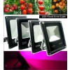 NOWOŚĆ HALOGEN GROW 30 W led DO UPRAWY ROŚLIN W-WA