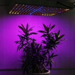 PANEL DO UPRAWY ROSLIN GROW LED 30 W 290 LED