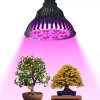DUŻA ŻARÓWKA LED E27 GROW 21W DO UPRAWY ROŚLIN Wwa