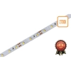 Taśma LED 6W 2700K IP20 ciepła biała 40m 2835 do wnętrz