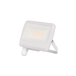 Naświetlacz LED 20W 4500K IP65 biały do elewacji i ogrodu