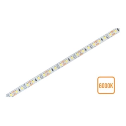 Taśma LED 12W 6000K 5m IP20 zimna biała 8mm do wnętrz