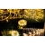 Girlanda LED solarna 100 LED 1,19m 2700K IP54 do ogrodu i altany